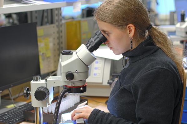 Zecha hat sich auf die Produktion von Mikrowerkzeugen in höchster Präzision spezialisiert. Sie herzustellen, verlangt ein Höchstmass an Kompetenz, denn Geometrien normal-grosser Werkzeuge können nicht einfach in den Mikrobereich herunterskaliert werden.